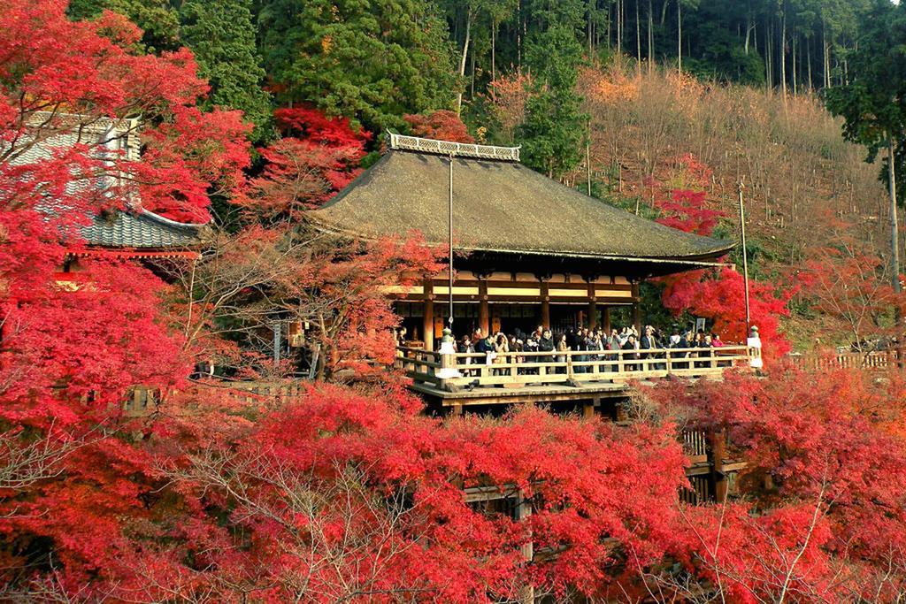 Zen Kyoto Kinkaku-Ji Temple Villa Exterior photo